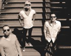 Tee ist der neue Rock‘n‘Roll