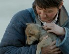 Tengris letzter Wolf