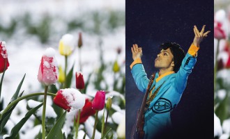 Requiem für Prince