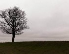 Lyrik einer untergegangenen Welt